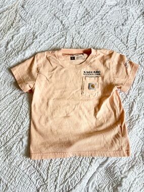 Carhartt Kids Peach Saguaro National Park Pocket Tee